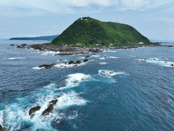 Fototapeta 高知県室戸市　室戸岬　全景