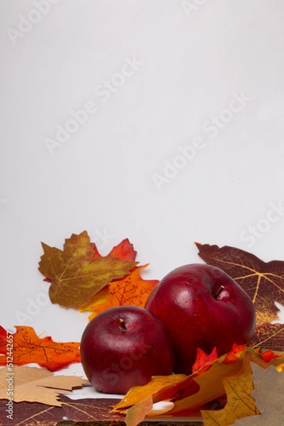 Obraz feuille et pommes