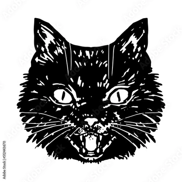 Obraz Angry black cat face. Hissing cat halloween vector illustration. Realistic ink sketch of witch familiar animal. Clipart for decor isolated on white.