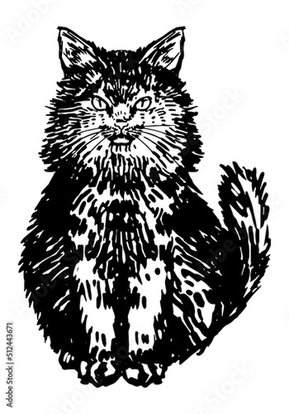 Fototapeta Fluffy black cat. Hand drawn halloween vector illustration. Realistic ink sketch of witch familiar animal. Clipart for decor isolated on white.