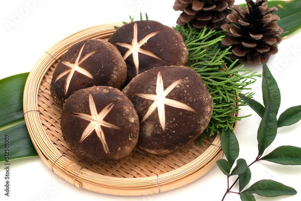 Fototapeta Shiitake mushuroom on white background (Called Shiitake in Japan)