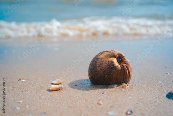 Obraz coconut on the beach