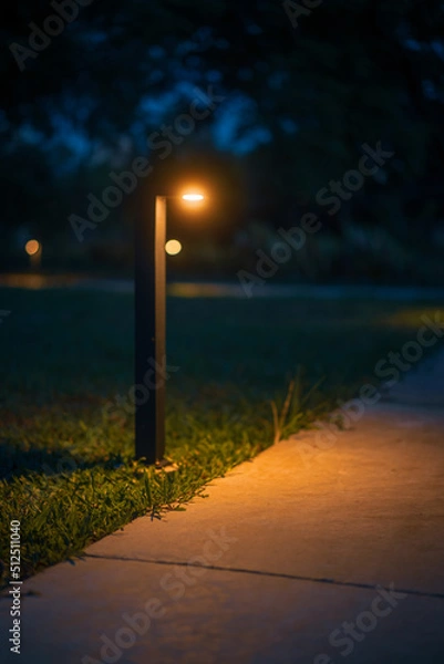 Obraz night  street lamp