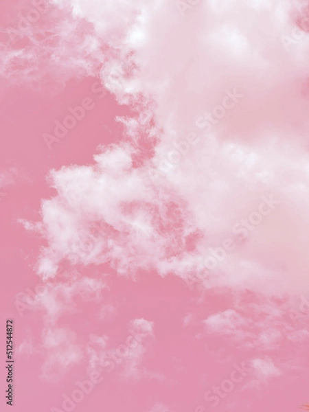 Obraz pink clouds in the sky