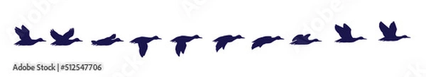 Fototapeta A flock of ducks is flying. Frames for animation.