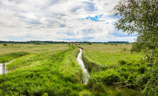 Obraz Minsmere RSPB Nature Reserve
