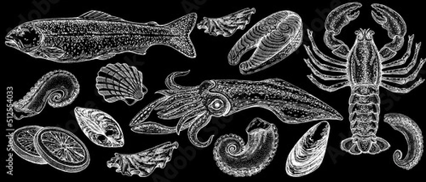 Fototapeta Seafood illustrations. Hand drawn line sea fishes, sushi rolls, oysters, mussels, lobster, squid, octopus, crabs, prawns