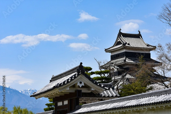Fototapeta 春の国宝松本城