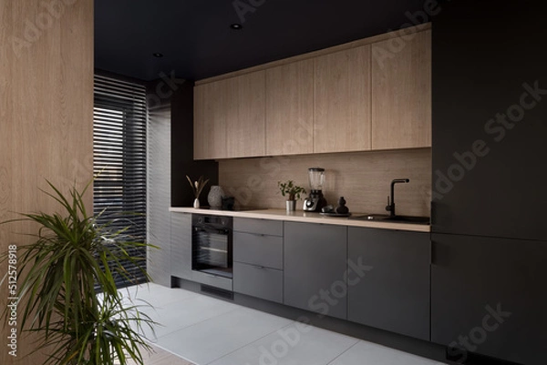 Obraz Modern and elegant kitchen