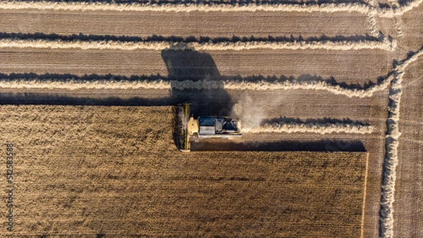 Fototapeta Cosechando cereal