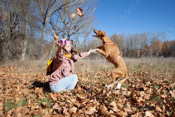 Obraz Mujer alegre lanzando hojas de otoño en el aire. Perro saltando en el aire. Mujer con su perro jugando en un campo otoñal.