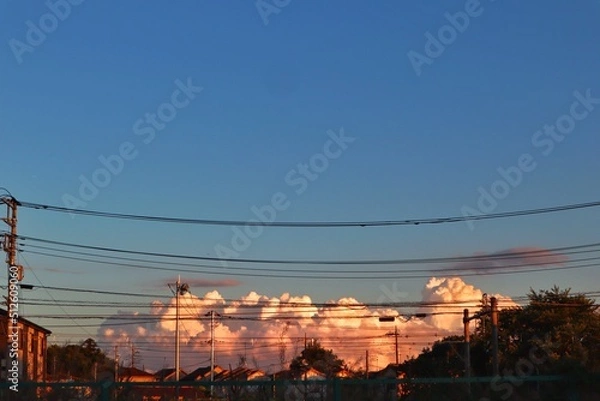 Fototapeta 夏の雲1