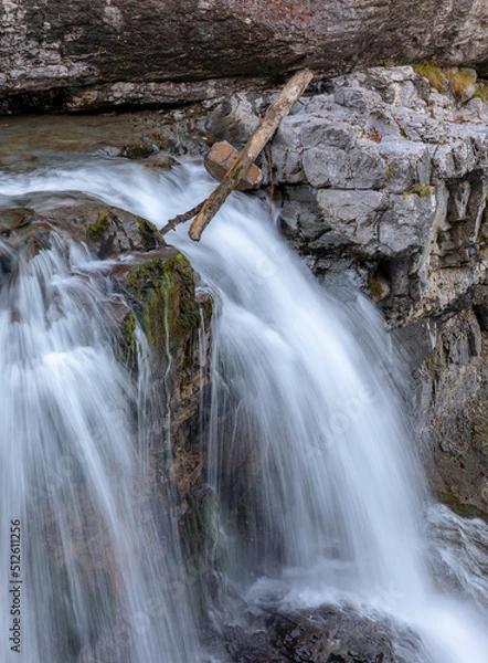 Fototapeta waterfall, stone and tree