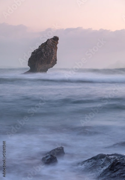 Fototapeta Standing on the seas