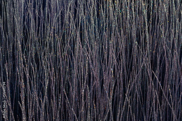 Obraz Cañamares color points