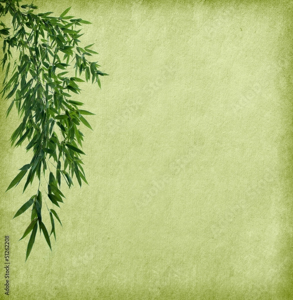 Fototapeta young branches of a bamboo on old paper background.