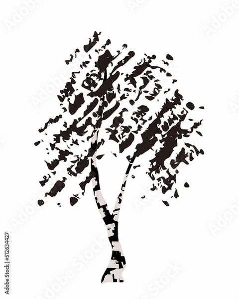 Fototapeta Vector illustration of black silhouette birch tree isolated on white background. Grunge textured brush decoration. Doodle hand drawn sketch design. Forest landscape element. Art for print. 