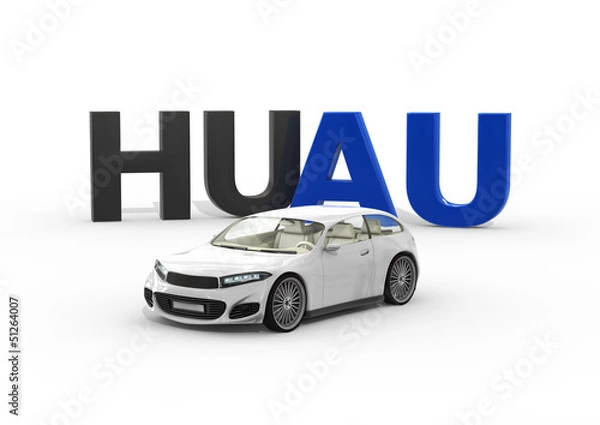Obraz auto_hu_au_01