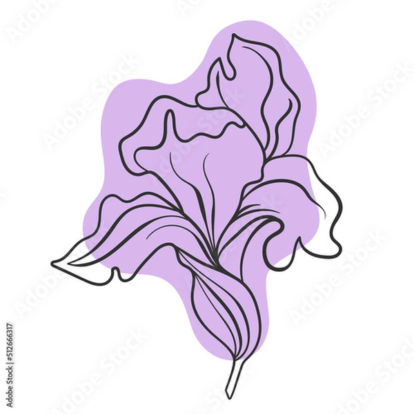 Obraz Vector line black illustration graphics flower iris with colors stains.