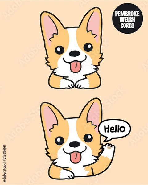 Fototapeta Corgi puppy dog with a smile and hello action. 2D cute cartoon character design in flat style. 