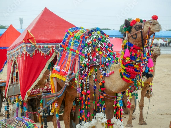 Obraz Decorated Camel Cart in Indian desert city pushkar for tourists and travelers.