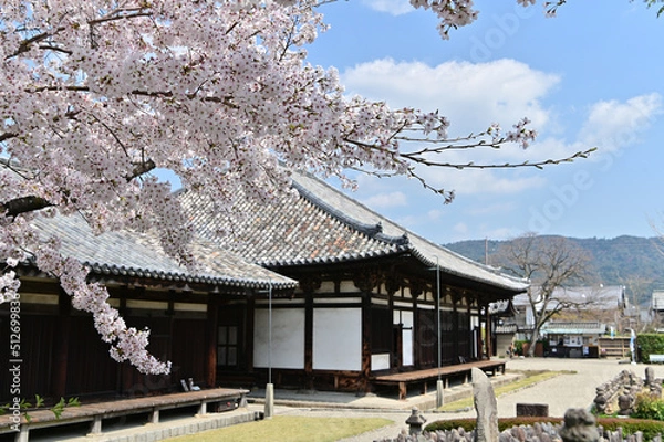 Fototapeta 元興寺の春