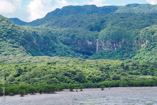 Fototapeta ピナイサーラの滝　日本　沖縄　西表島