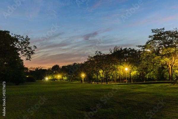 Obraz twillight park