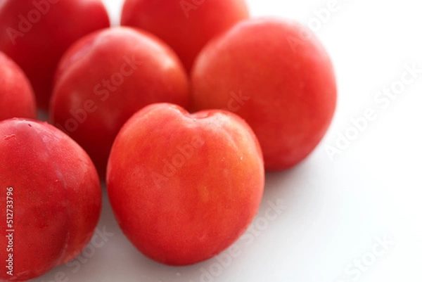 Obraz プラム　白い背景