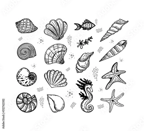 Obraz Set of sea creatures, hand-drawn in sketch style. Shells, seaweed, fish, starfish and seahorse. Summer greeting card.