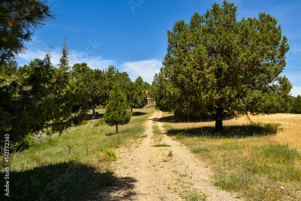 Obraz Rural road in Cuenca, Spain