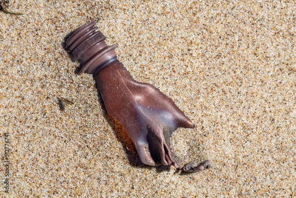 Fototapeta Alien Object on the Beach 2