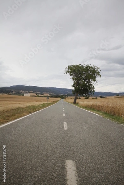 Obraz ROAD - SPAIN