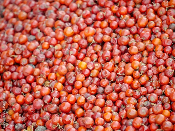 Obraz Heap of Red Indian jujube also known as Chinee apple, Chinese apple, jujube, Indian plum, masau, ber, cottony jujube, dungs