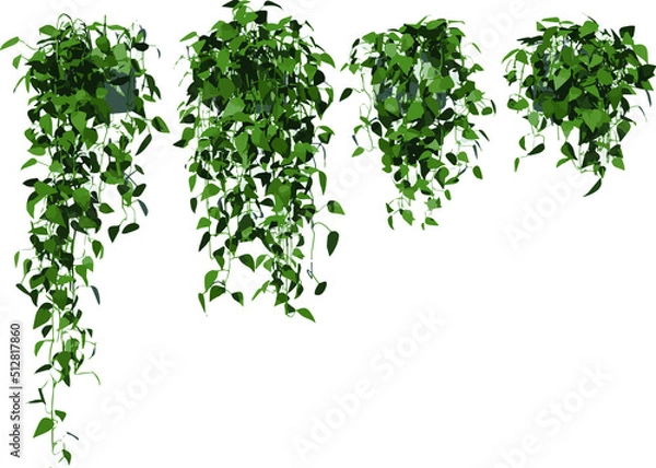 Fototapeta Front view of Plant (Hanging Creepers Plants 1) Tree illustration vector	