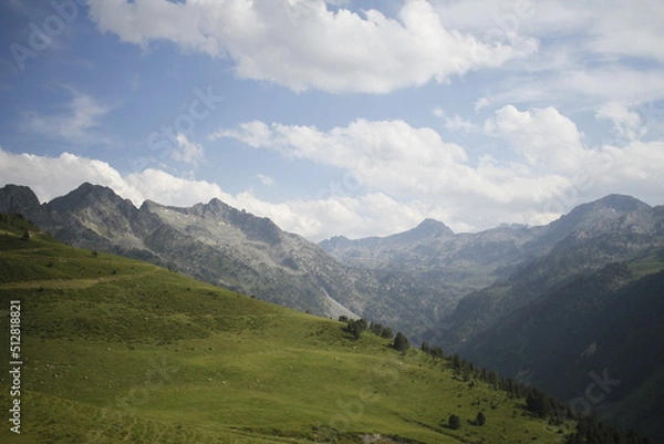 Obraz PUNTA DE LA BONAIGUA - SPAIN