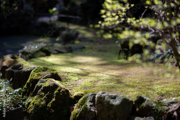 Obraz 晩春の箱根