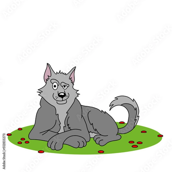 Fototapeta vector image of a gray wolf that lies on the green grass. sly muzzle of a wolf