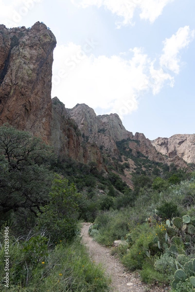 Obraz landscape in the mountains