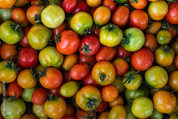 Obraz pomodoro verde