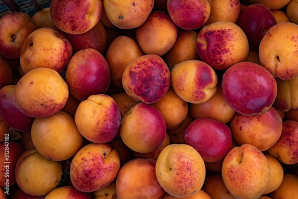 Obraz peche, albicocche