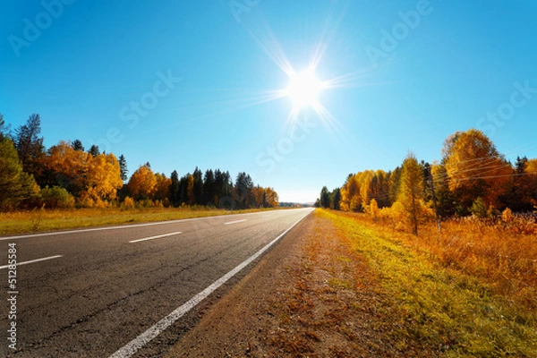 Obraz road in autumn