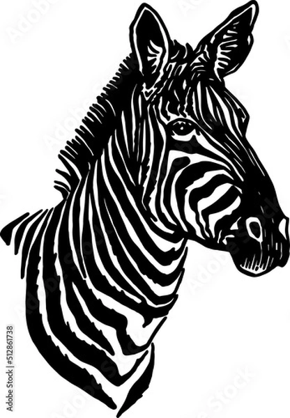 Fototapeta Vector portrait of zebra looking right isolated on white, graphical element