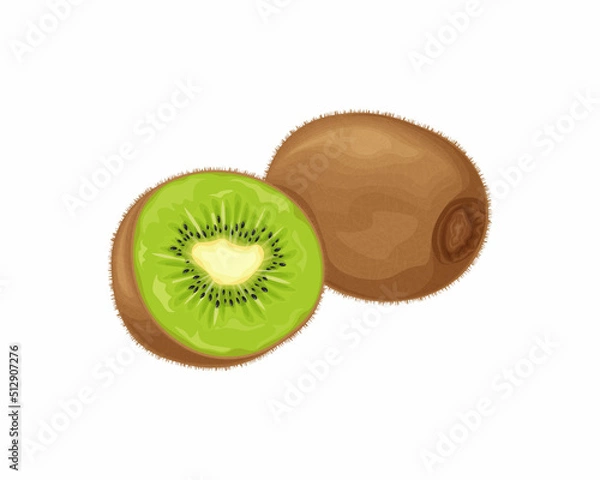 Fototapeta Kiwi fruit. Ripe kiwi. Image of a ripe kiwi fruit. Vitamin fruit. Organic vegetarian products. Vector illustration isolated on a white background
