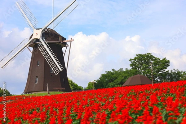Obraz windmill with red flowers