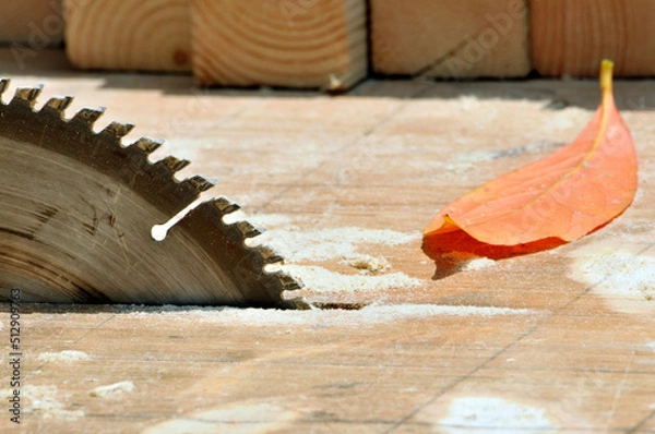 Obraz circular saw on wood