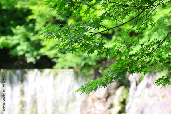 Obraz waterfall in a park
