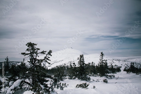 Obraz Hike to Sněžka