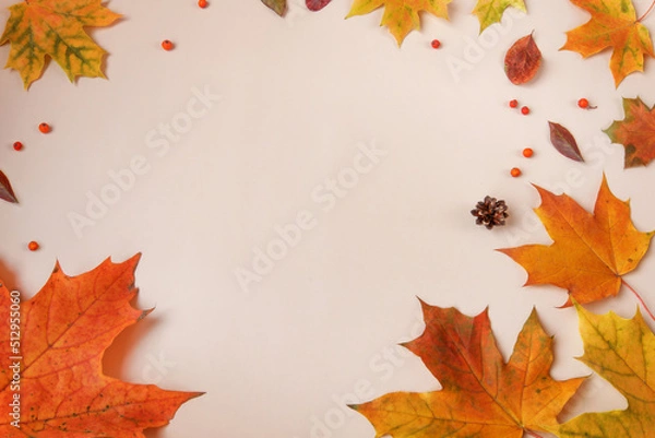 Fototapeta Frame of colorful red and yellow autumn leaves with cones and rowan berries on trendy beige background. First day of school, back to school, fall concept. 
