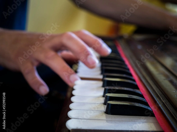 Fototapeta Playing the harmonium